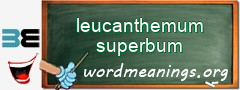 WordMeaning blackboard for leucanthemum superbum